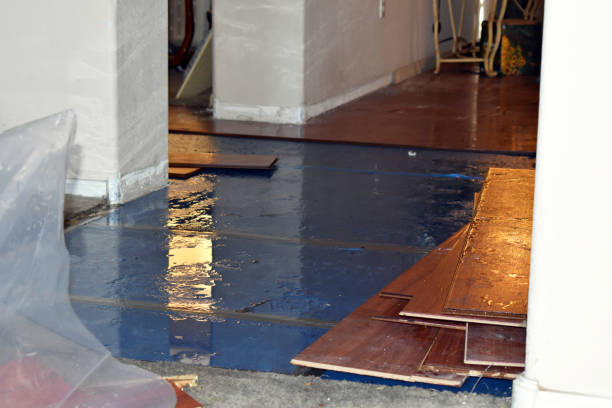 Professional Sewage Cleanup technician working in Malakoff, TX